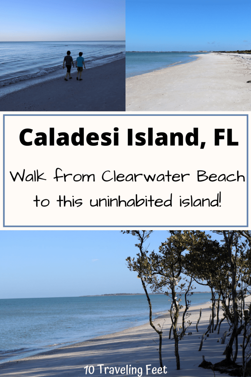 Caladesi Island, Florida Pin