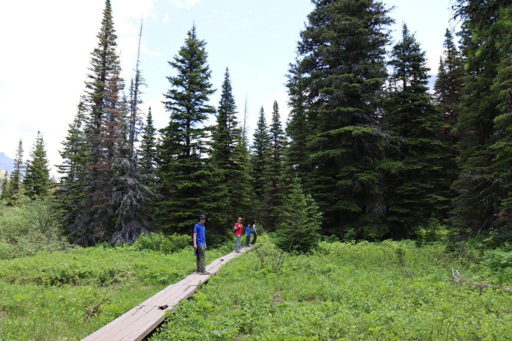 Trail to Grinnell Lake, Glacier National Park in late June, Montana