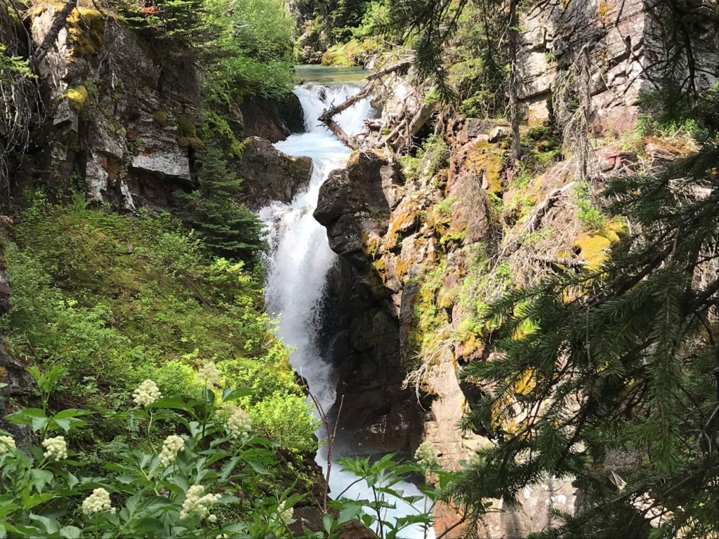 Hidden Falls, Many Glacier Area, Glacier National Park in late June, Montana