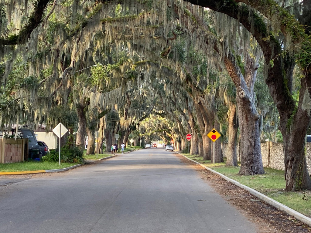 Spanish Moss Covered Road - St. Augustine, Florida