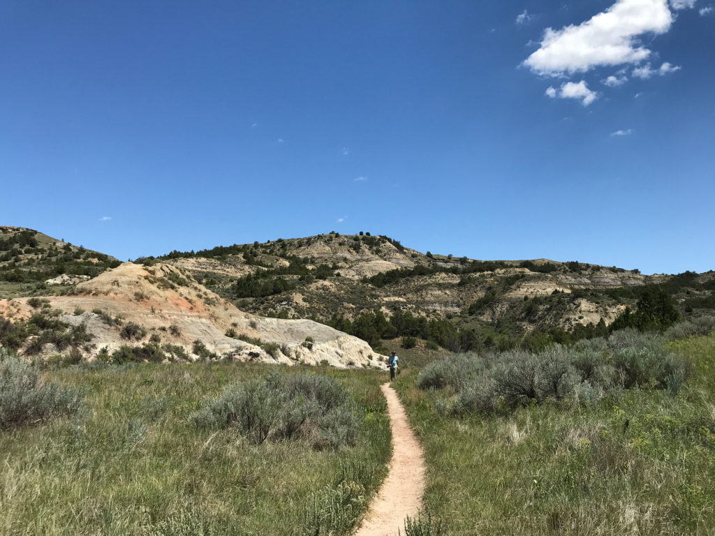 Coal Vein Trail, Theodore Roosevelt National Park - North Dakota
