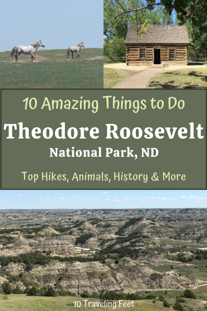 Roosevelt National Park Pin