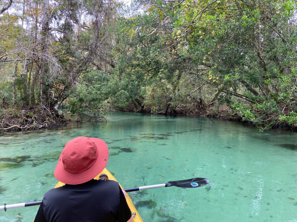Kayaking Weeki Wachee River, Florida - gorgeous turquoise crystal clear water kayak - A top Kayak Experience in Florida