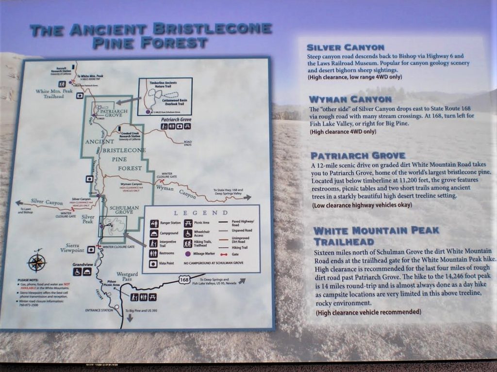 Ancient Bristlecone Pine Forest Map - California