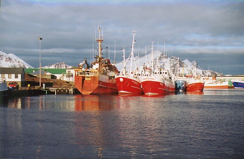 Boats in the harbor - Hofn to Vik on the Ring Road, Iceland
