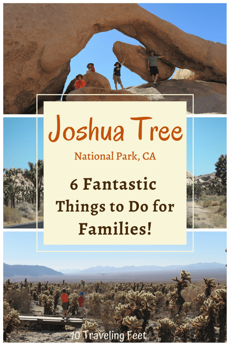 Joshua Tree Things to do with Kids Pin - California