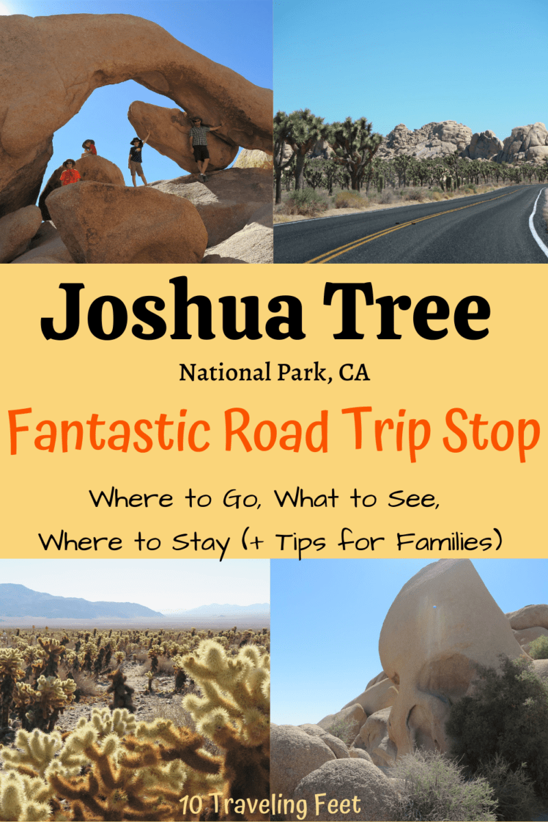 Joshua Tree Road Trip Stop Pin - California