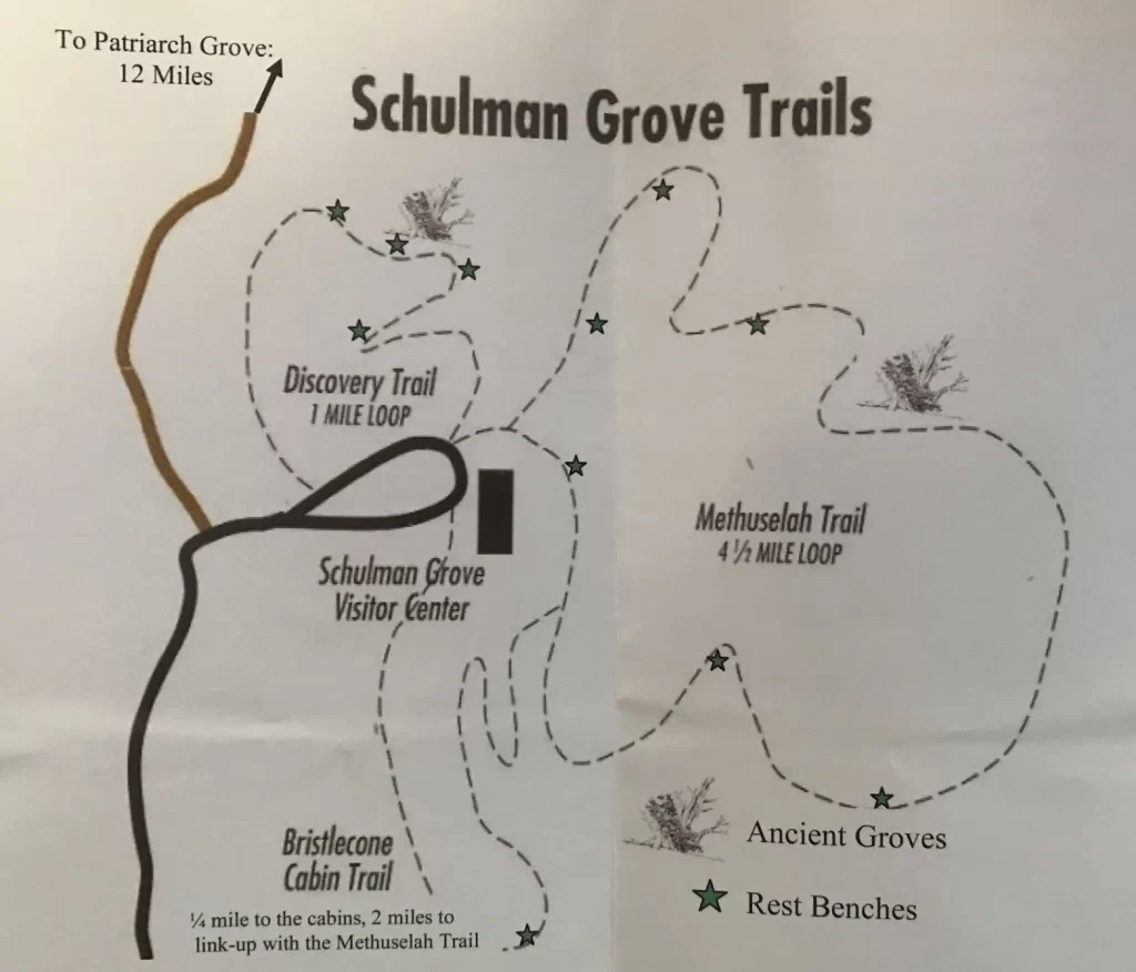 Schulman Grove Trails Map, California