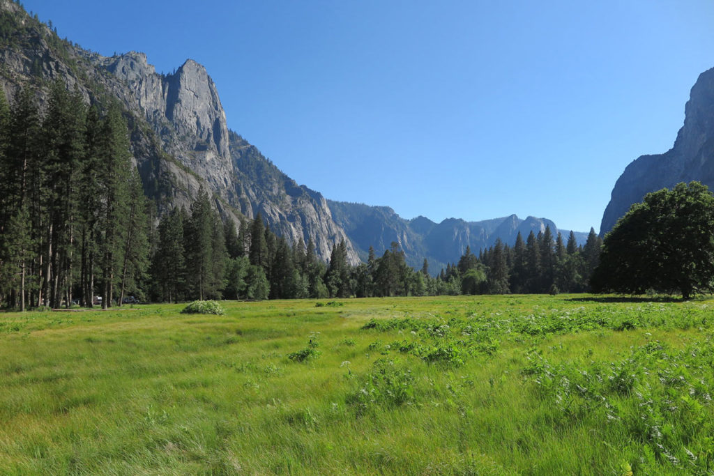 Cook's Meadow - Yosemite, California