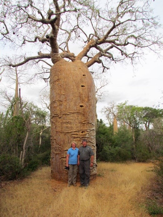 Madagascar