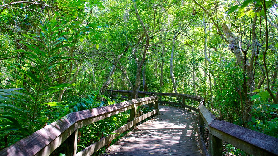 Boyd Hill Nature Preserve, Florida