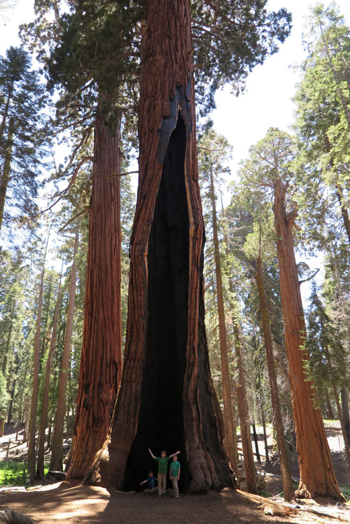 Large burn scar in Sequoia National Park, California