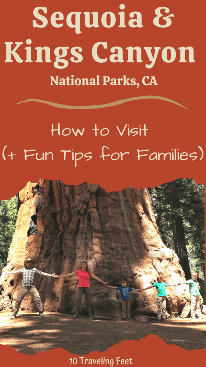 Sequoia Top Things to Do Pin - California
