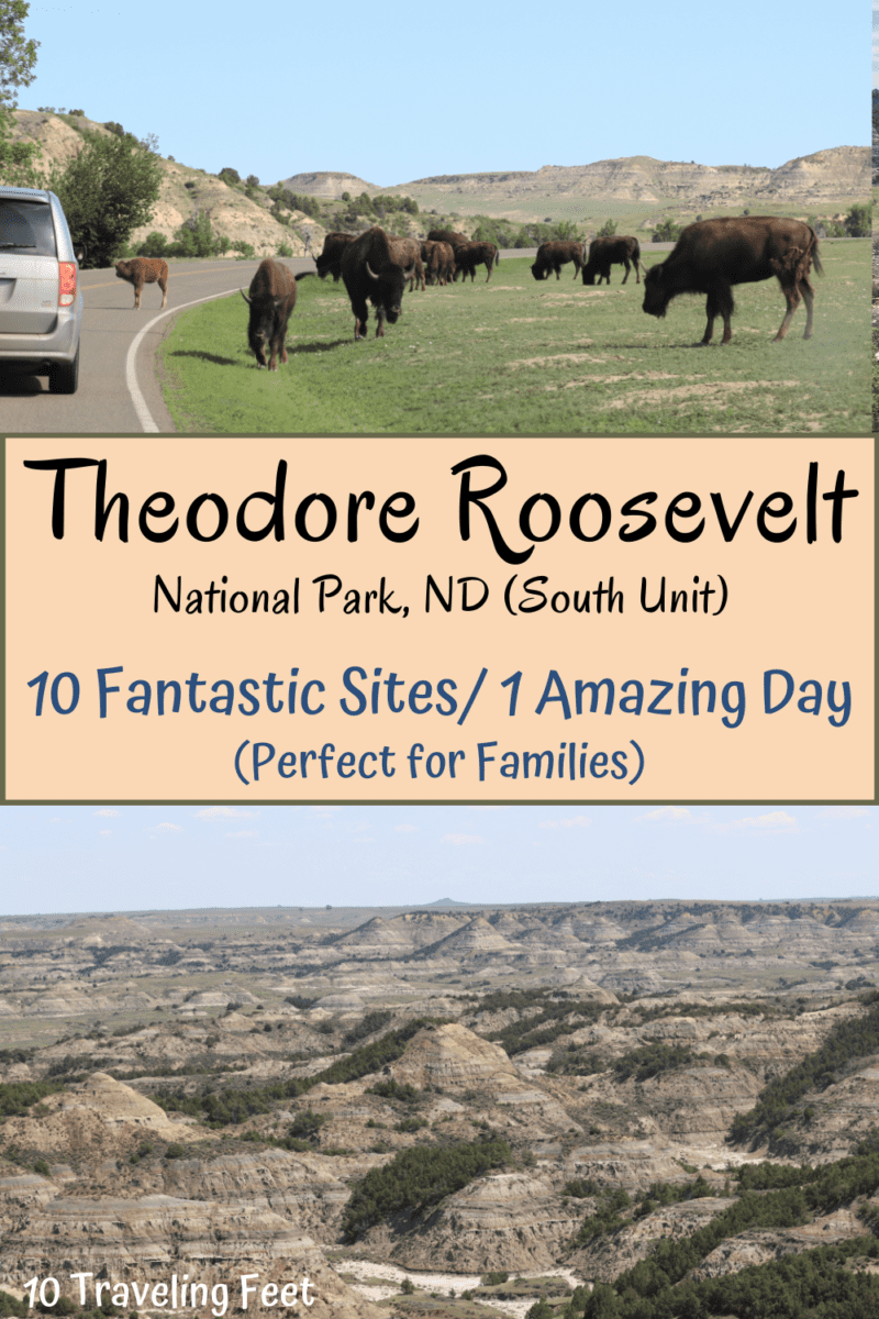 Theodore Roosevelt National Park, North Dakota Pin