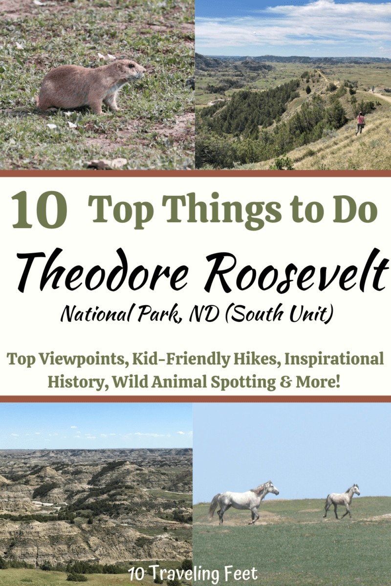 Theodore Roosevelt National Park Top Things to Do Pin