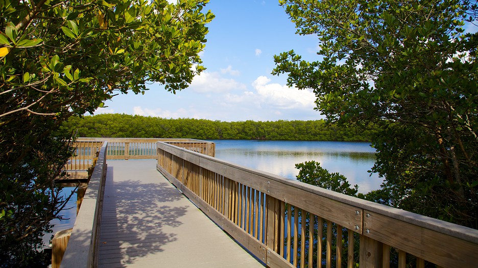 Weedon Island, Florida