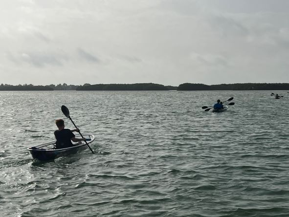 Shell Key Kayaking, Florida