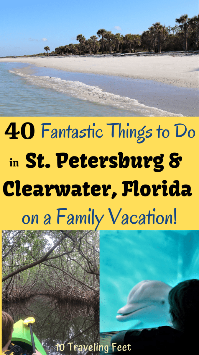 Top Things to Do in Pinellas County, Florida Pin