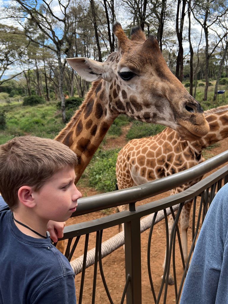 Giraffe Center Nairobi Kenya