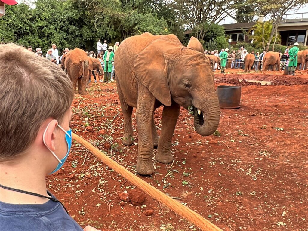 Sheldrick Elephant Orphanage Kenya