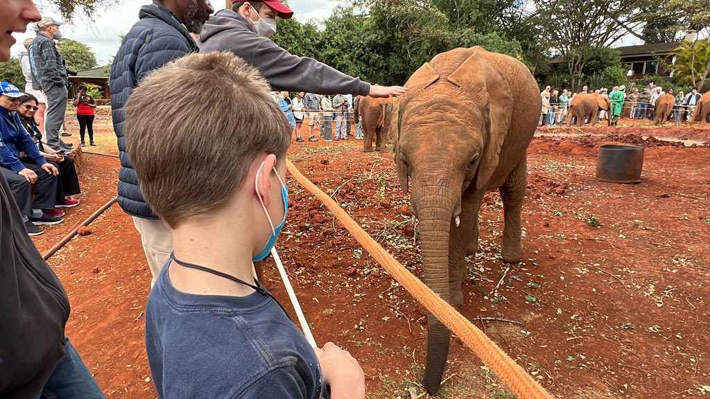 Sheldrick Elephant Orphanage, Kenya