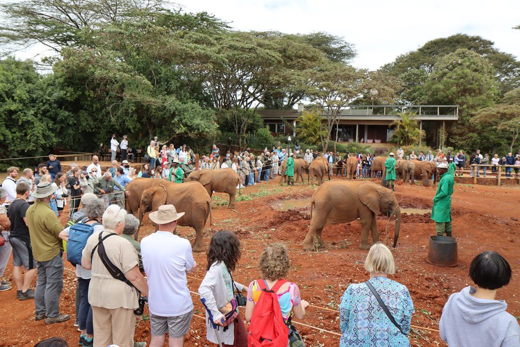 Sheldrick Elephant Orphanage, Kenya