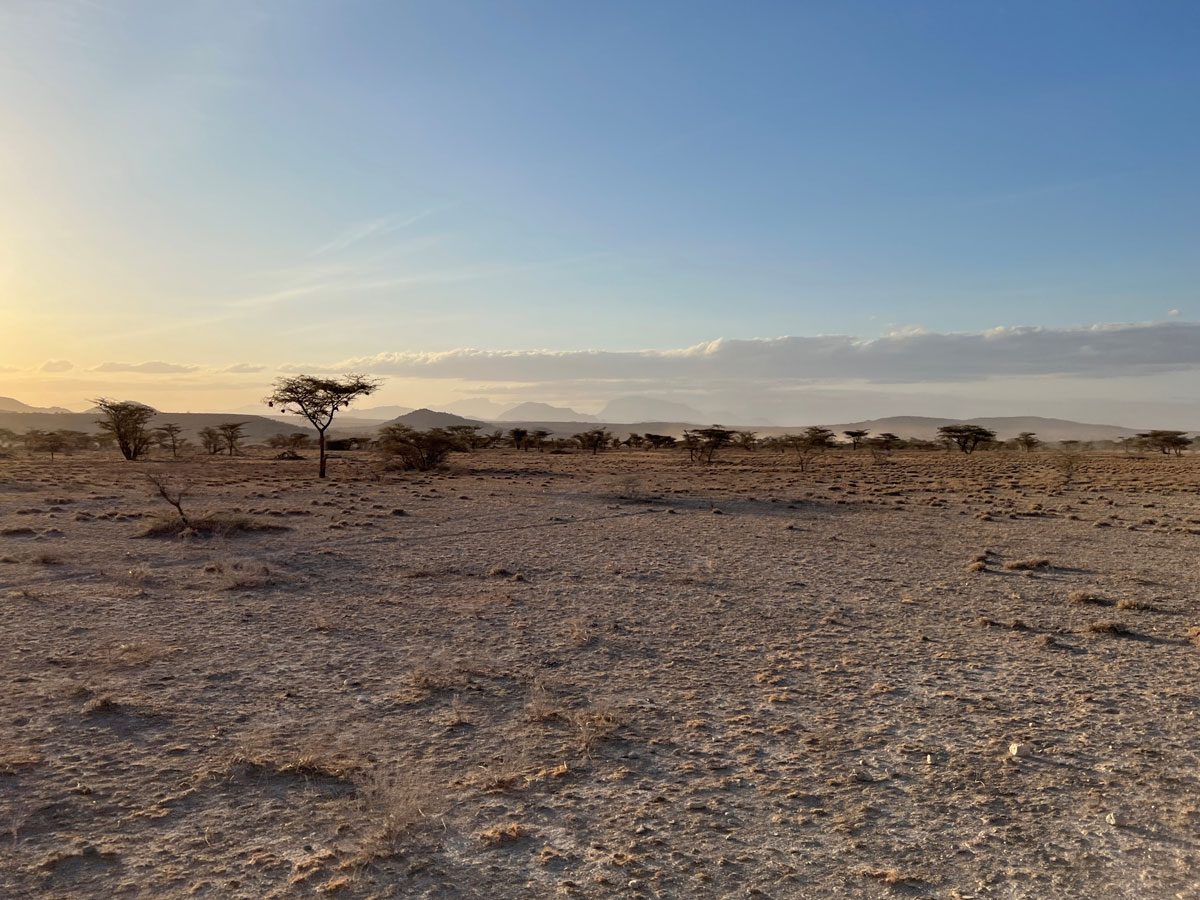 Samburu National Reserve Kenya - dry