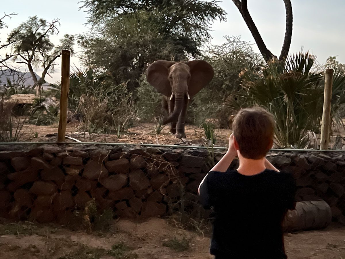 Ashnil Samburu Camp Kenya elephant by our tent