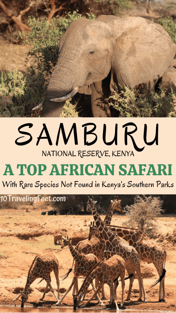 Samburu Safari, Kenya pin