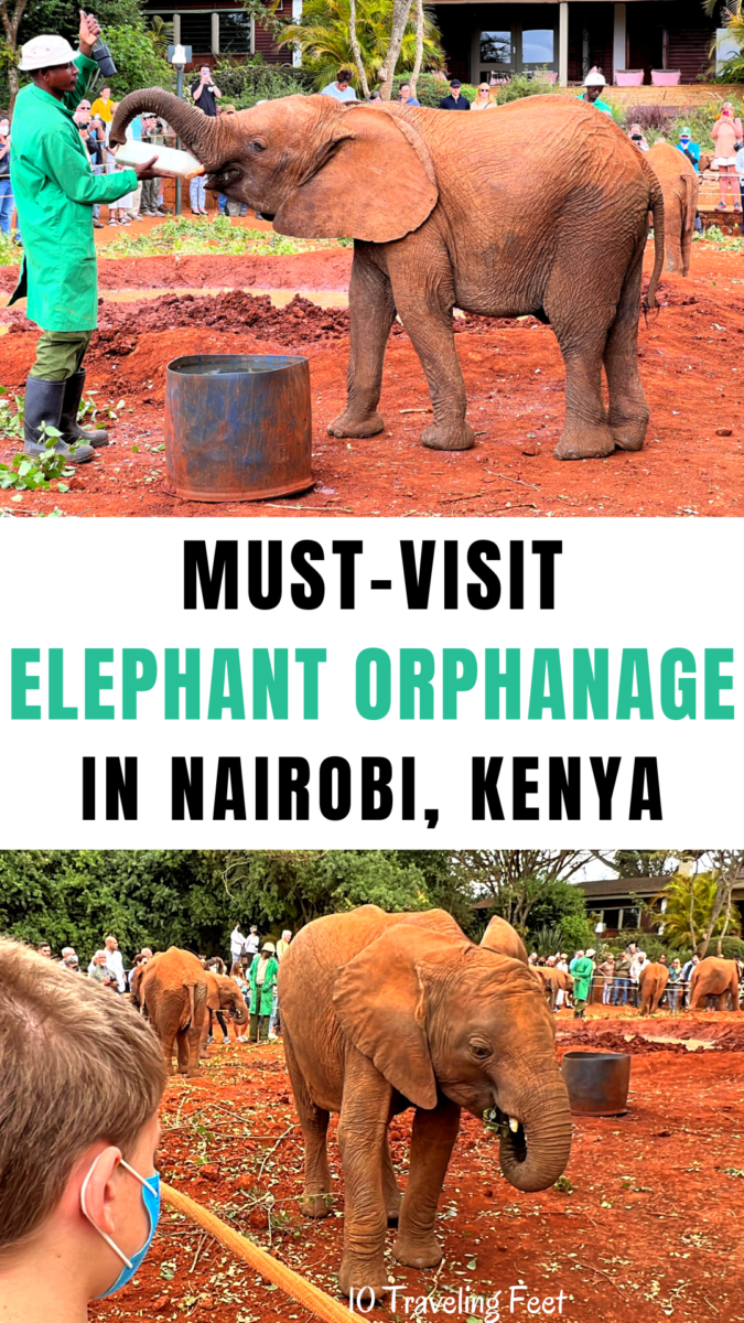 Sheldrick Elephant Orphanage Kenya