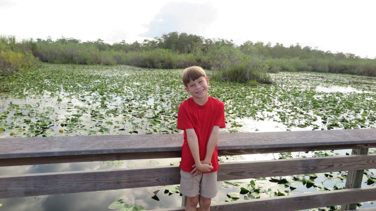 Anhinga Trail Everglades, Florida