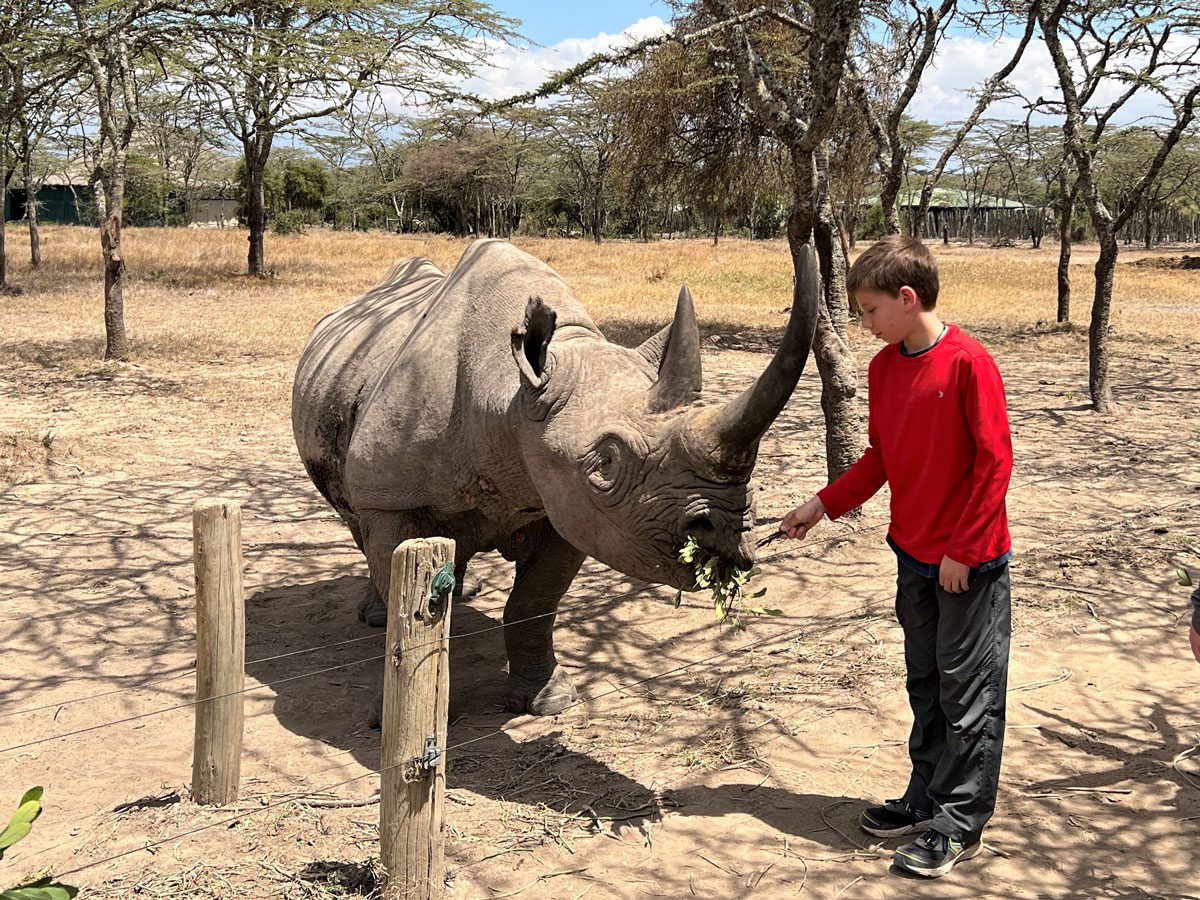 Feeding a Rhino in Kenya