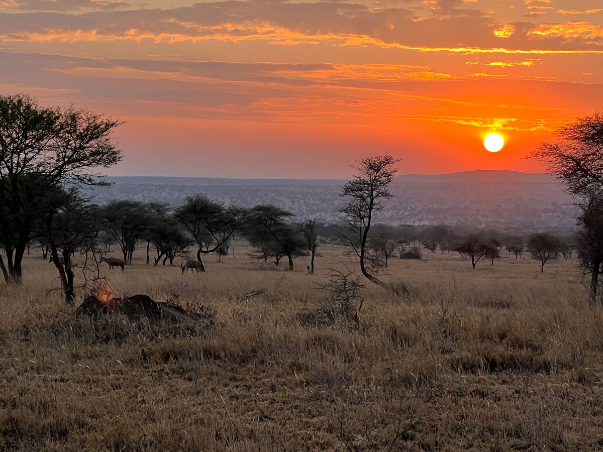 Serengeti National Park, Tanzania - Intimate Camps